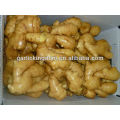 new crop fresh ginger,American Standard